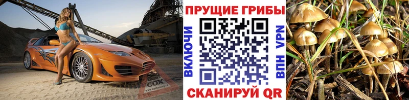 Купить где  Полесск  Псилоцибиновые грибы MAGIC MUSHROOMS 