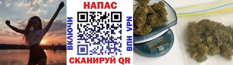 Купить  Полесск  Бошки Шишки ГИДРОПОН 